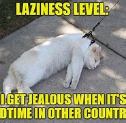 Image result for Funny Lazy Cartoons
