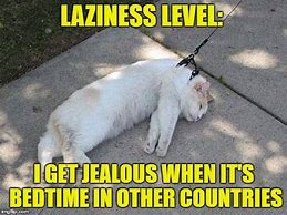 Image result for Feeling Lazy Meme