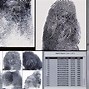 Image result for Fingerprint Print