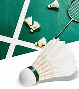 Image result for Badminton Shuttlecocks