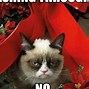 Image result for Time for Christmas Decorations Meme
