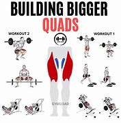 Image result for Quad Exercises Gym