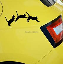 Image result for Funny Car Decals Stickers