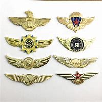 Image result for Airline Pilot Wings