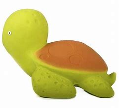 Image result for Rubber Turtle Toy