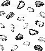 Image result for 1 Pound Pine Nuts