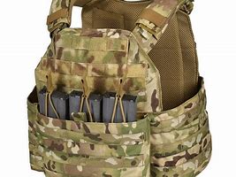 Image result for Tactical Gear Plate Carrier