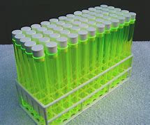 Image result for Test-Tube Protective Case
