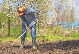 Image result for campesino
