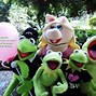 Image result for Happy Kermit
