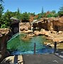 Image result for Memphis Zoo Giant Pandas