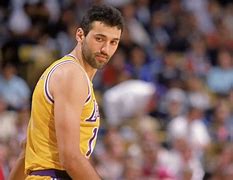 Image result for Dada Vlade Divac