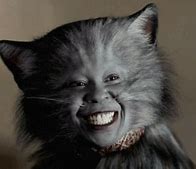 Image result for Wonderland Cheshire Cat