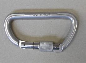 Image result for Carabiner Hook