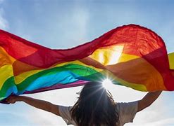 Image result for Days of Pride Month