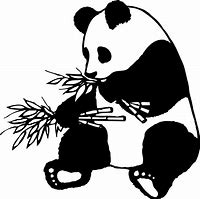 Image result for Panda Bear Black and White Tail As
