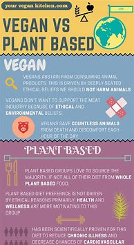 Image result for Difference Between Vegan Vegetarian and Plant Based