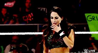 Image result for Brie Bella and Byran