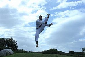 Image result for Martial Arts Jump