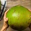 Image result for Coconut