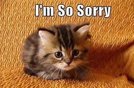 Image result for I AM Sorry Animal Memes