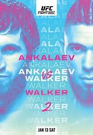 Image result for New UFC Fights