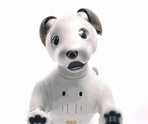 Image result for Aibo Ers 220