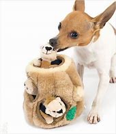 Image result for Best Small Dog Toys