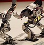 Image result for Real Fighting Robots