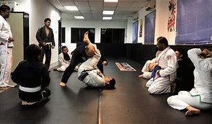 Image result for Jiu Jitsu Holds