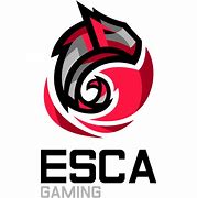 Image result for esca