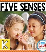 Image result for Printable Five Senses Worksheets