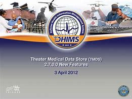 Image result for Theater Medical Data Store Army Logo