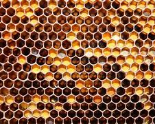 Image result for Honeycomb Wallpaper 4K