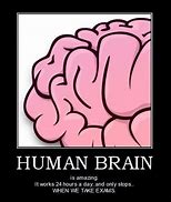 Image result for Brain Anatomy Meme