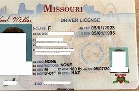 Image result for Blank Drivers License