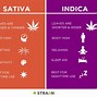 Image result for Cannabis Sativa Indica Ruderalis
