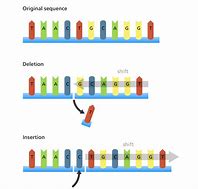 Image result for DNA Sequence for Kids
