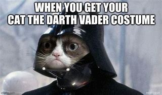Image result for Grumpy Cat Star Wars Memes