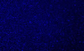 Image result for Nipsey Hussle Dark Background
