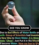 Image result for Interesting True Facts