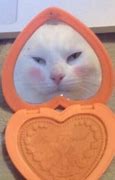 Image result for iPhone Cat Meme