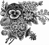 Image result for Black White Flower Art