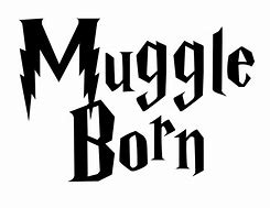 Image result for Don't Touch My iPad Muggle