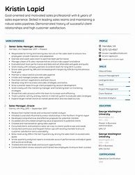 Image result for Sales Resume Summary Examples