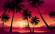 Image result for iPhone Palm Tree Beach Sunset