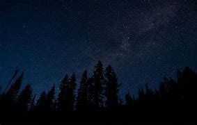 Image result for Night Sky with Trees