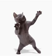 Image result for Funny Cat Happy Dance