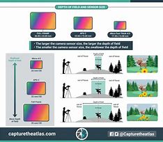 Image result for iPhone Camera Sensor Size