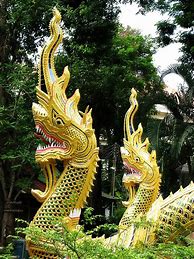Image result for Rainbow Dragon Thai